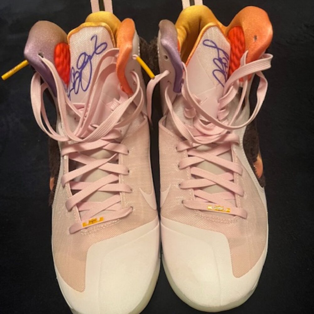 Nike LeBron 9